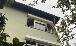 Pencereden bakan ev kedisi itfaiyeyi alarma geçirdi!