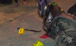 ‘Taralı’ kavga ortalığı karıştırdı!