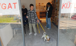 Ukraynalı kadın hayatının şokunu yaşadı: Köpeği parmağını parçaladı