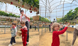 ALKÜ’lü minikler fidan dikip çilek topladı