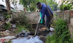 Büyükşehir'den sinek üreme alanlarında yoğun çalışma