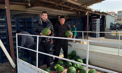 Antalya'da sezonun ilk karpuz hasadı yapıldı!