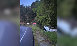 Minibüs yoldan çıktı: Yaralılar var