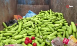 Toptancı halinde çöpe atılan sebzelere tepki: "Bunları yapanlar utansın, bunları dökenler utansın"