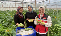 Aksu'da kadın çiftçi hem üretiyor hem ihraç ediyor hem de pazarda satıyor