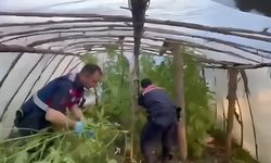 Serada yasa dışı üretim şoku!