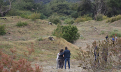 Sessizliğin ortasında acı gerçek: Ormanda cansız beden!
