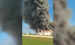 Antalya'da patates üretim tesisinde yangın