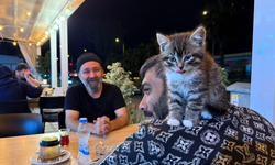 Madde bağımlılığından yavru kedi sayesinde kurtuldu