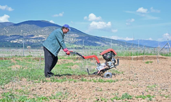 Büyükşehir ipek böceği yetiştiriciliğini yaygınlaştırıyor