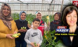 Aksu’da kadın çiftçiler sahnede: Seradan ihracata güçlü kadın hikayeleri