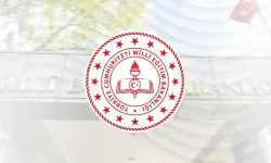 MEB’den psikososyal destek: 700 rehber öğretmen görevde