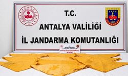 Alanya’da zehirli madde operasyonu!