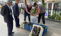 Ürettiği patlıcanlar maliyetini kurtarmayınca serasının kapılarını vatandaşlara açtı
