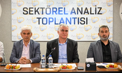 Buğdayda yağış bereketi!