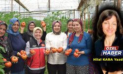 Dünya Çiftçiler Günü’nde Aksulu Kadın Çiftçilerden üretim mesaisi