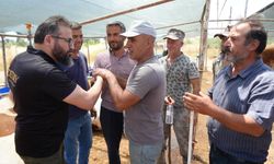 Antalya'da kurban pazarında son kozlar oynandı!