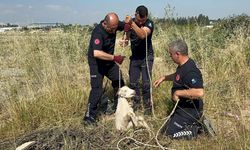 Aksu'da yürekleri ısıtan kurtarma!