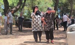 Antalya'da ormanlık alanda sır ölüm!