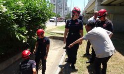 Düştü diye ihbar ettiği babası bile düşmediğine ikna edemedi!
