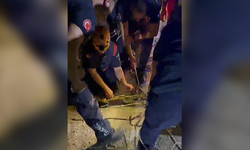 Antalya'da korku dolu anlar! Araç uçuruma düştü