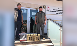 Kuş denetiminde kafeslerdeki keklik ve papağanlara el konuldu