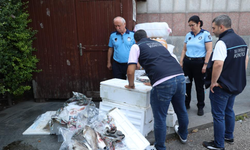 Antalya Otogarı'nda balık operasyonu!