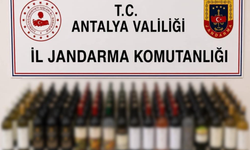 Alanya'da kaçak alkol operasyonu!