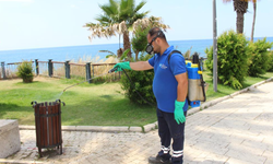 Antalya'da vektörle mücadele 19 ilçede sürdürülüyor