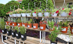 Kepez Bahçe Market Antalya'nın hizmetine açılıyor