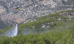 Antalya'da ormanlık alanda çıkan yangın korkuttu!