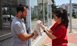 Büyükşehir’in hayvan ambulansı can dostların imdadına yetişiyor
