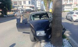 Palmiyeye çarpan Tofaş hurdaya döndü!