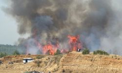 Aksu'da orman yangınına havadan ve karadan müdahale!
