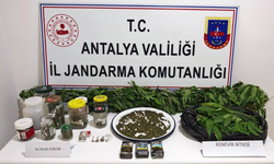 Manavgat'ta kubar esrar ve kenevir operasyonu!