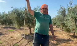 'Yılanı öldürdüm' deyip çektirdiği video pahalıya mal oldu!