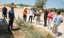 Alanya'da geniş kapsamlı çevre denetimi