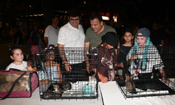 Kemer Belediyesi'nde "Can dostları" için konser