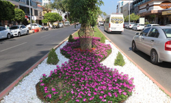 Alanya Belediyesi'nden yeşil alanlarda yoğun mesai