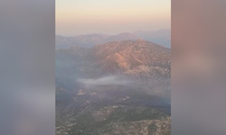Antalya'daki orman yangını kontrol altına alındı!