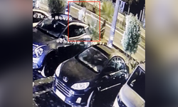 Otel önünde pes dedirten hırsızlık!