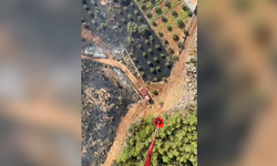 Antalya'da ormanlık alanı tehdit eden yangın!