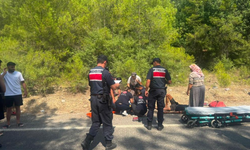 Manavgat'ta römork üzerindeki botlar devrildi!