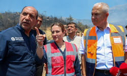 Yangında yeni gelişme: Çevrelemenin yüzde 80'i tamamlandı!