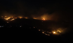 Alanya'daki orman yangınına gece saatlerinde müdahale sürüyor!