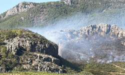 Alanya'daki orman yangınında 45 ev tahliye edildi!