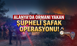 Alanya'da ormanı yakan şüpheli şafak operasyonu!
