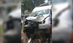 Alanya'da kamyonet ağaca çarptı!