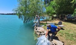Manavgat’ta 400 bin balık yavrusu doğayla buluştu