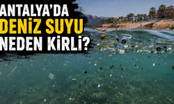 "Bu yıl henüz berrak suya rastlamadık"